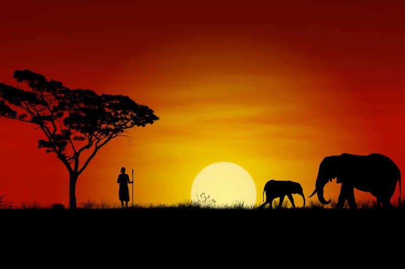 夕阳下的两个大象和一个人